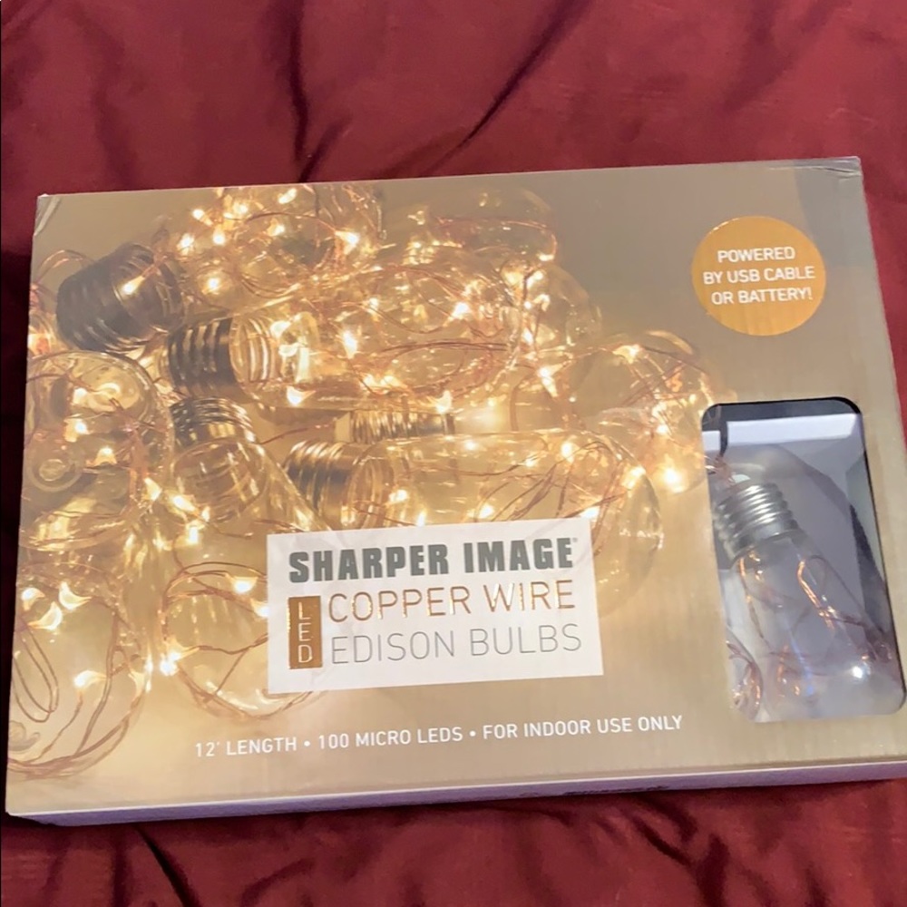 Copper wire Edison bulb light strand